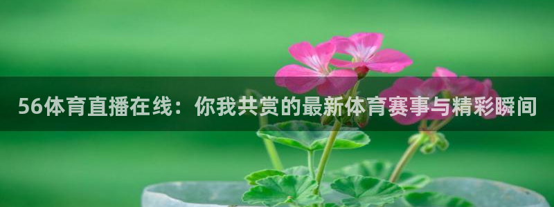 56体育直播在线：你我共赏的最新体育赛事与精彩瞬间
