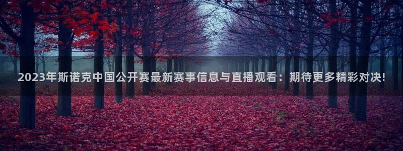 2023年斯诺克中国公开赛最新赛事信息与直播观看：期待更多精彩对决!