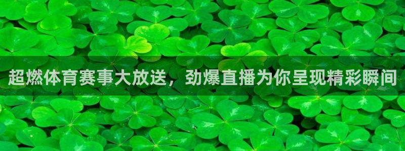超燃体育赛事大放送，劲爆直播为你呈现精彩瞬间