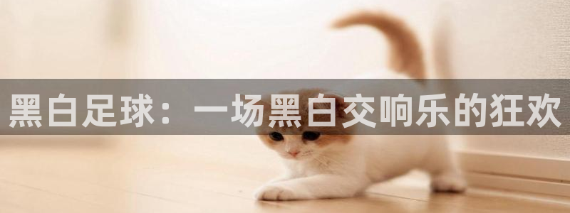 黑白足球：一场黑白交响乐的狂欢