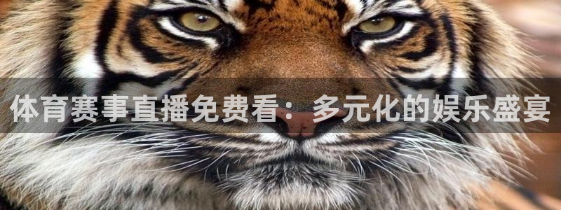 体育赛事直播免费看：多元化的娱乐盛宴