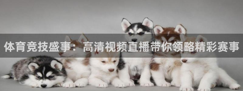 体育竞技盛事：高清视频直播带你领略精彩赛事