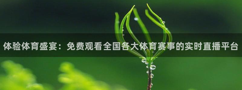 体验体育盛宴：免费观看全国各大体育赛事的实时直播平台